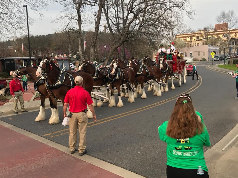 Clydesdale's