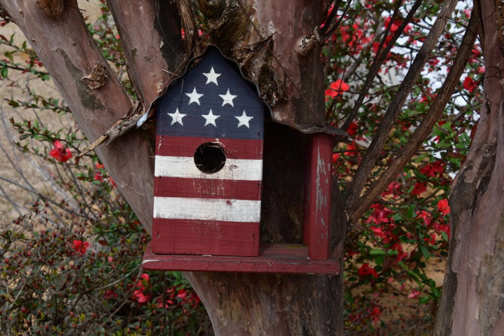 www.redneckrhapsody.com American flag painted bird house & Quince bush with red blooms all over it.