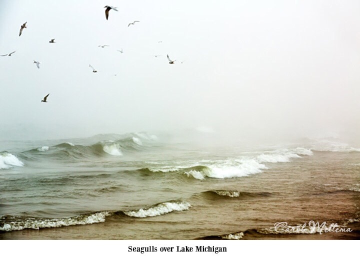 www.redneckrhapsody.com Seagulls over Lake Michigan on a misty cloud shrouded day.