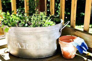 https://ourcraftymom.com/how-to-plant-an-herb-garden-in-a-galvanized-bucket/