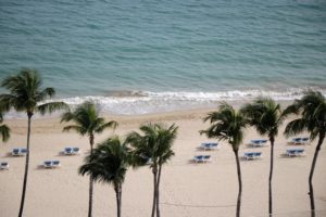 Beautiful beach, ocean and palms shot in Puerto Rico