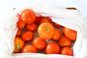 Box of fresh picked tomatoes