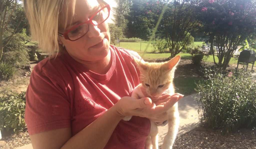 Trina holding kitten who's eating treats from hand, care for new wild cat.
