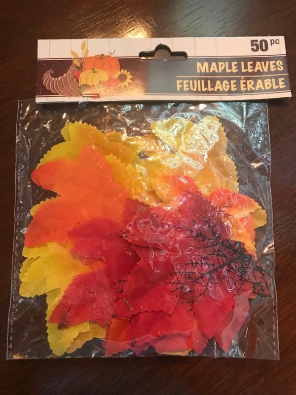 Fall Decor such as these beautifully coloured leaves can be found at your local dollar tree!