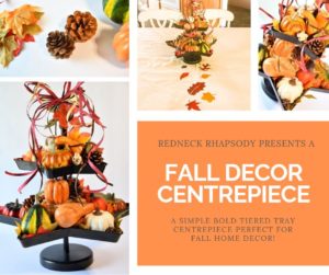 A fall decor Centrepiece is an easy way to add some fall charm to your home. this vibrant colourful filled tray is a perfect addition to any fall home decor!