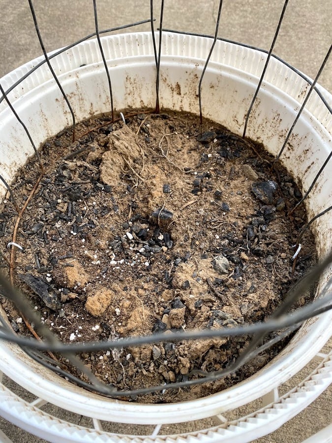 Prepping wire and bucket of dirt for my DIY Hollow Tree.