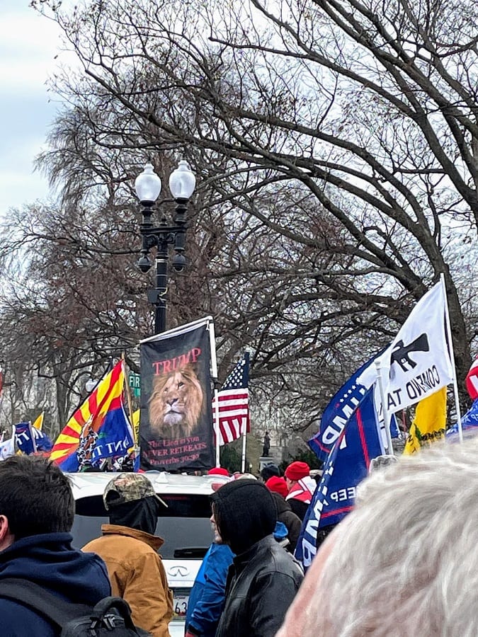 An American Patriot looking for a Lion, even if it is on a flag with Trump's name!