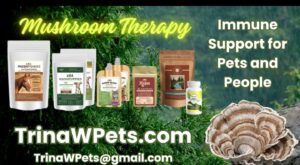 Mushrooms for humans and pets health.